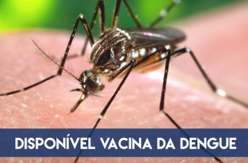 Disponível vacina contra a dengue!